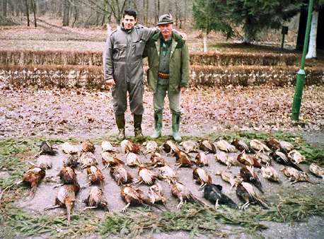 Pheasant hunting in Ristovaca, Serbia